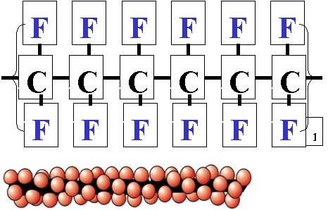 PTFE 的分子結(jié)構(gòu)圖.jpg